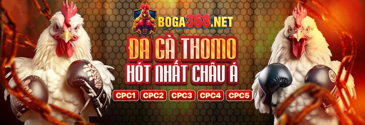 Đá gà trực tuyến Nova88 khuyến mãi 2026